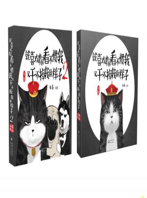 就喜歡你看不慣我又干不掉我的樣子（兩冊(cè)）