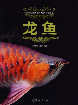 龍魚(yú)