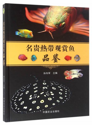 名貴熱帶觀賞魚(yú)品鑒