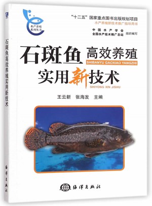 石斑魚(yú)高效養(yǎng)殖實(shí)用新技術(shù)