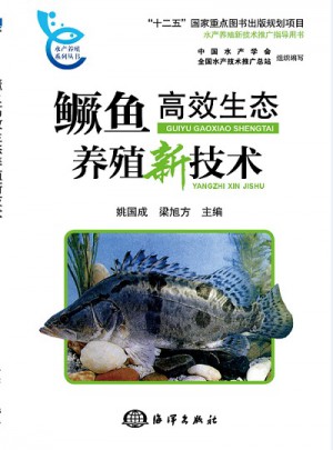 鱖魚(yú)高效生態(tài)養(yǎng)殖新技術(shù)