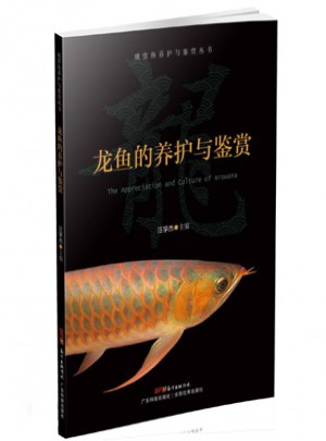 龍魚(yú)的養(yǎng)護(hù)與鑒賞