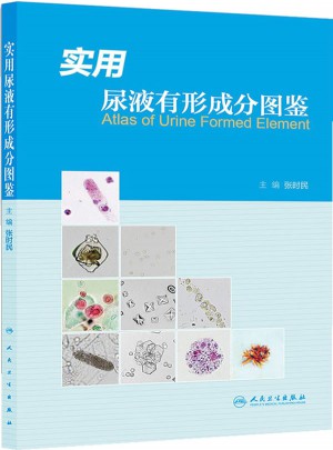 實(shí)用尿液有形成分圖鑒