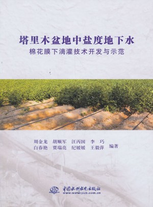 塔里木盆地中鹽度地下水棉花膜下滴灌技術(shù)開發(fā)與示范