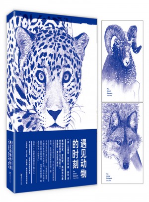 遇見動物的時刻