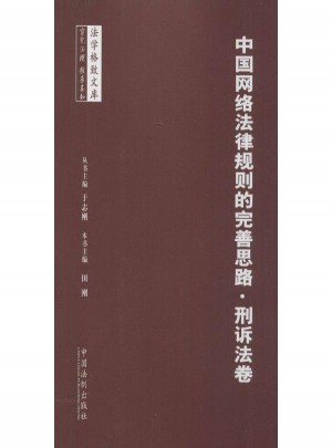 中國網絡法律規則的完善思路刑訴法卷