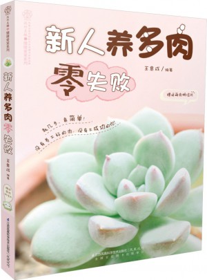 新人養多肉零失?。h竹）
