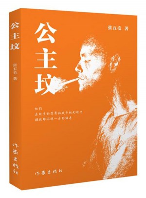公主墳·80后窮二代的掙扎與希望