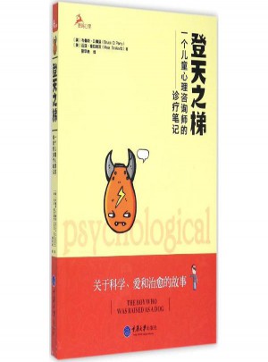 登天之梯:一個兒童心理咨詢師的診療筆記