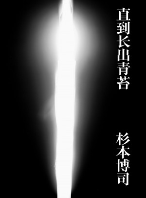 直到長出青苔
