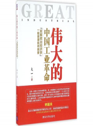 偉大的中國工業(yè)革命(發(fā)展政治經(jīng)濟(jì)學(xué)一般原理批判綱要)