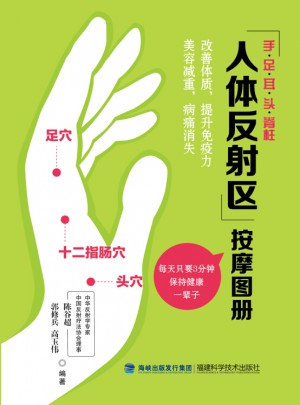 標準人體反射區掛圖（盒裝）