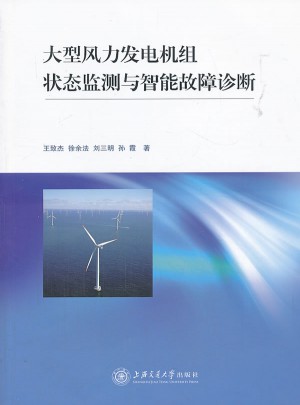 大型風(fēng)力發(fā)電機(jī)組狀態(tài)監(jiān)測與智能故障診斷
