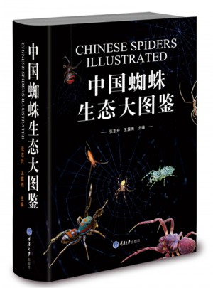 中國蜘蛛生態大圖鑒