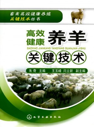 高效健康養(yǎng)羊關(guān)鍵技術(shù)