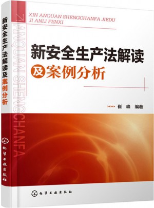 新安全生產(chǎn)法解讀及案例分析