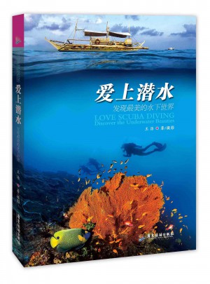 愛上潛水