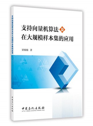 支持向量機算法及在大規(guī)模樣本集的應(yīng)用