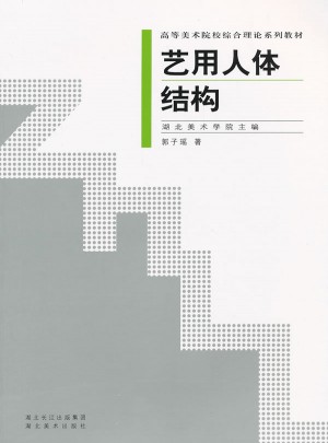 高等美術院校綜合理論系列教材藝用人體結構