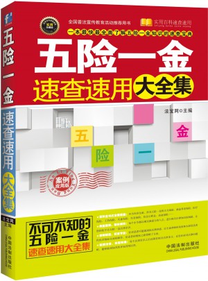 五險一金速查速用大全集：案例應(yīng)用版