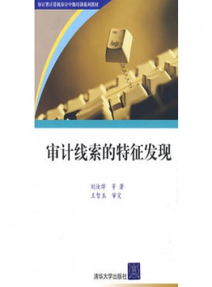 審計線索的特征發(fā)現(xiàn)