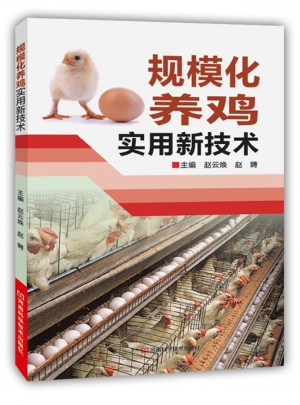規(guī)模化養(yǎng)雞實用新技術
