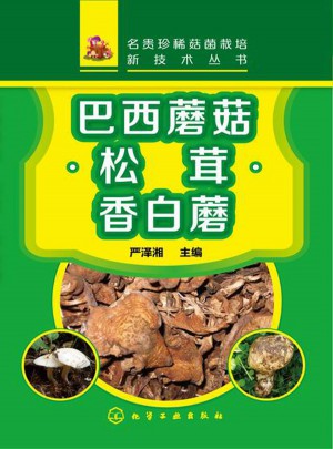 巴西蘑菇·松茸·香白菇