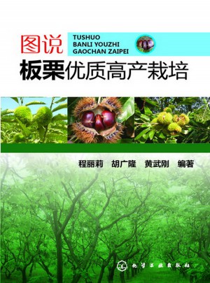 圖說板栗品質(zhì)高產(chǎn)栽培