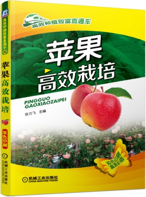 蘋果高效栽培