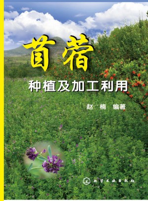 苜蓿種植及加工利用