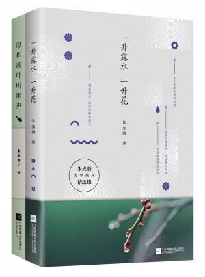 生活自有詩意：朱光潛經(jīng)典美學(xué)散文2冊套裝
