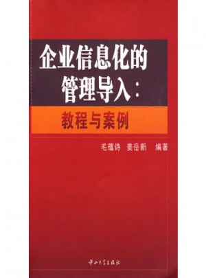 企業(yè)信息化的管理導(dǎo)入：教程與案例