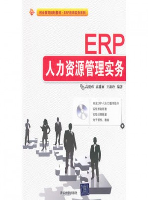 ERP人力資源管理實(shí)務(wù)(配光盤(pán))