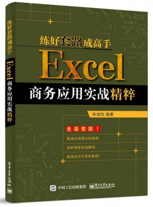 練好套路成高手：Excel商務(wù)應(yīng)用實(shí)戰(zhàn)精粹