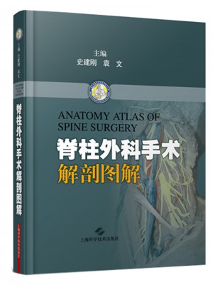 脊柱外科手術解剖圖解