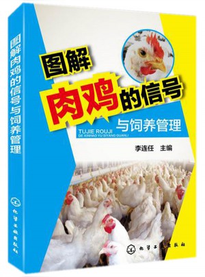 圖解肉雞的信號與飼養(yǎng)管理