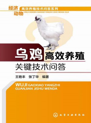 烏雞高效養殖關鍵技術問答