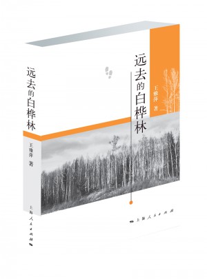 遠去的白樺林
