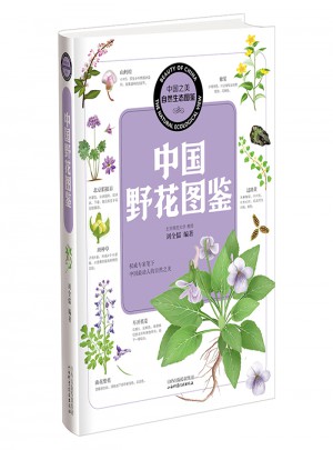 中國之美 自然生態(tài)圖鑒 中國野花圖鑒
