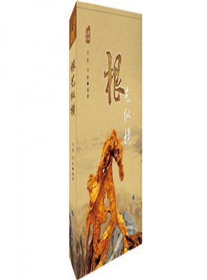 根藝縱橫