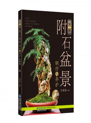 圖解附石盆景制作與養護（彩圖版）