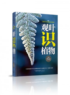 觀葉識植物（漢竹）