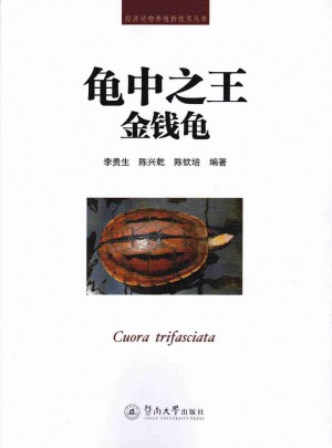 龜中之王：金錢龜