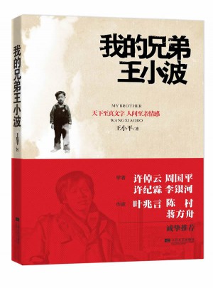 我的兄弟王小波