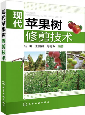 現代蘋果樹修剪技術