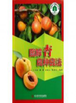 圖解杏良種良法：果樹科學種植大講堂