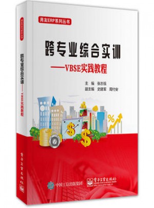 跨專業(yè)綜合實訓(xùn)：VBSE實踐教程