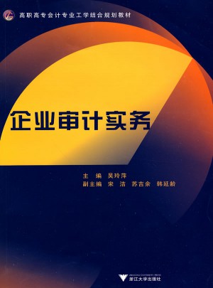 企業(yè)審計(jì)實(shí)務(wù)