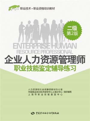 企業(yè)人力資源管理師(二級)職業(yè)技能鑒定輔導練習(第2版)