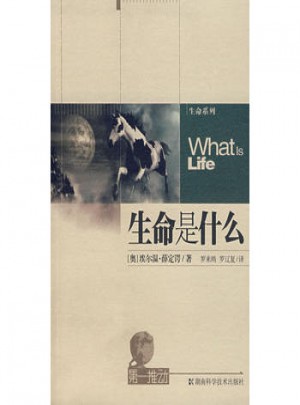 生命是什么